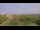 Webcam in Juist, 21.8 km
