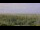 Webcam on Juist, 0.9 mi away
