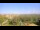 Webcam sur Juist, 2.3 km