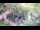 Webcam auf Juist, 2 km entfernt