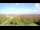 Webcam sur Juist, 22 km