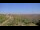 Webcam on Juist, 8.7 mi away