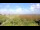Webcam sur Juist, 19.4 km