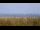 Webcam auf Juist, 2.3 km entfernt