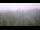 Webcam on Juist, 8.5 mi away