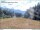 Webcam in Skykomish, Washington, 92 km