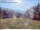 Webcam in Skykomish, Washington, 35.5 mi away