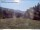 Webcam in Skykomish, Washington, 91.7 mi away