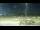 Webcam in Arlington, Washington, 38.3 km entfernt