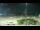 Webcam in Arlington, Washington, 141.7 km entfernt