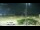 Webcam in Arlington, Washington, 55.9 mi away
