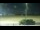 Webcam in Arlington, Washington, 141.7 km