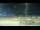 Webcam in Arlington, Washington, 0 mi away