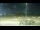 Webcam in Arlington, Washington, 144.8 km