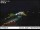 Webcam in Des Moines, Washington, 46.1 km
