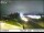 Webcam in Des Moines, Washington, 11.1 mi away