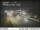 Webcam in Dupont, Washington, 58 km