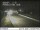 Webcam in Dupont, Washington, 15.9 mi away