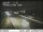 Webcam in Dupont, Washington, 88.5 km entfernt