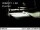 Webcam in Easton, Washington, 95.7 km