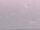 Webcam in Kettering, Ohio, 38.4 mi away