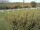 Webcam in Fehmarn, 54.9 km