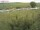 Webcam on Fehmarn, 21.2 mi away