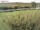 Webcam on Fehmarn, 36 mi away