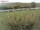 Webcam on Fehmarn, 19.8 mi away
