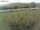 Webcam in Fehmarn, 54.9 km