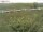 Webcam on Fehmarn, 27.8 mi away