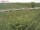 Webcam auf Fehmarn, 38.9 km entfernt
