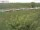 Webcam auf Fehmarn, 52.5 km entfernt