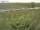 Webcam auf Fehmarn, 54.9 km entfernt