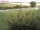 Webcam in Fehmarn, 93.2 km