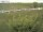 Webcam auf Fehmarn, 13 km entfernt