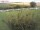 Webcam on Fehmarn, 5.6 mi away