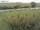 Webcam auf Fehmarn, 52.5 km entfernt