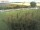 Webcam sur Fehmarn, 14.5 km