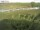 Webcam on Fehmarn, 5.6 mi away