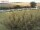 Webcam auf Fehmarn, 12.6 km entfernt