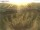 Webcam on Fehmarn, 3.3 mi away