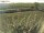 Webcam on Fehmarn, 4.8 mi away