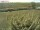 Webcam on Fehmarn, 5.1 mi away