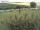 Webcam in Fehmarn, 54.9 km