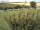Webcam sur Fehmarn, 54.9 km