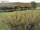Webcam auf Fehmarn, 12.4 km entfernt