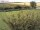 Webcam sur Fehmarn, 13 km