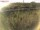 Webcam auf Fehmarn, 51.2 km entfernt