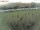Webcam on Fehmarn, 5.3 mi away